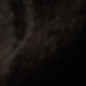 Meet your Posher, Jacqueline